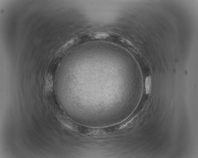 X0000082741443200702021334