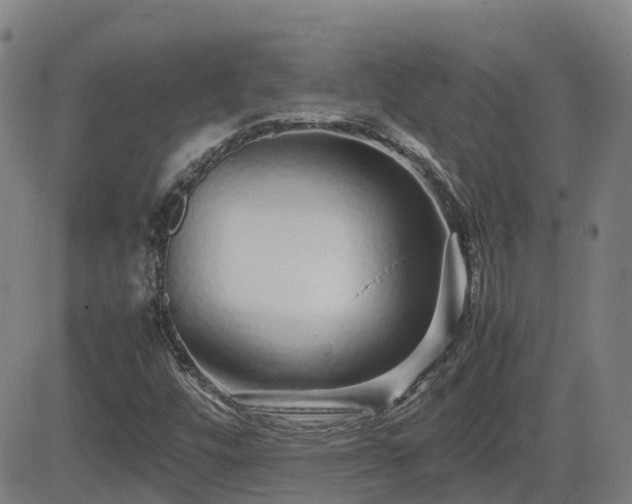 X0000082741448200702021333