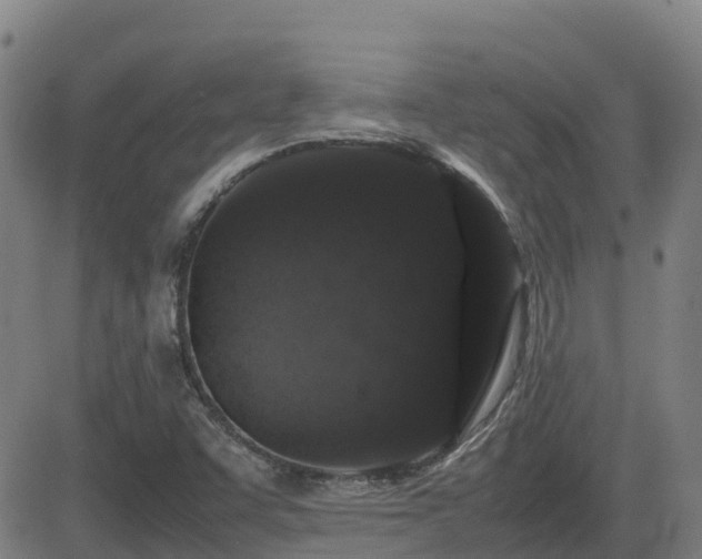 X0000082741455200702021333