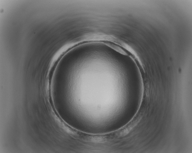 X0000082741472200702021333
