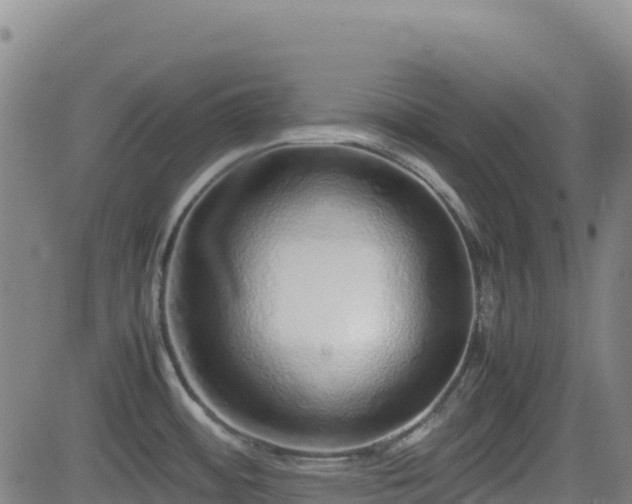 X0000082741484200702021333