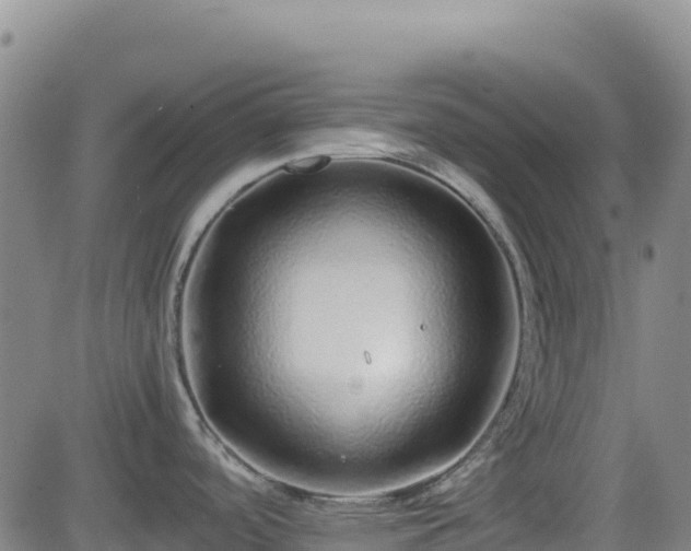 X0000082741488200702021333