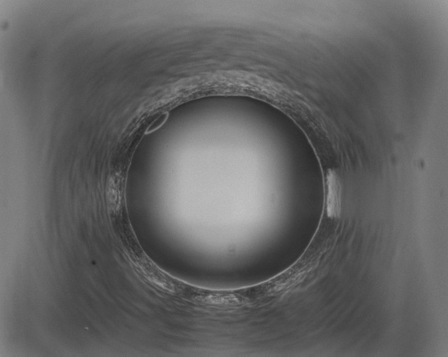 X0000082741491200702021332