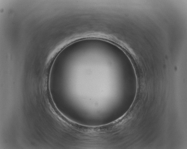 X0000082741504200702021332