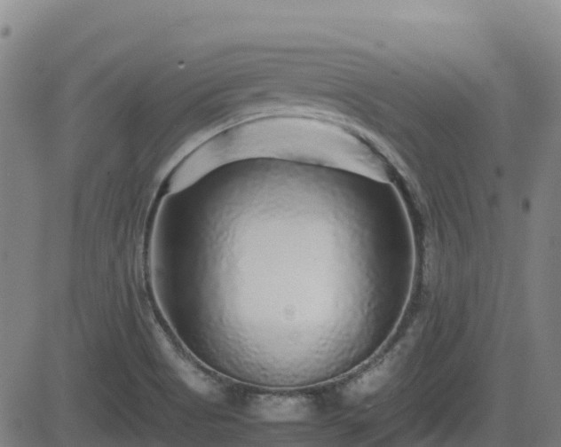 X0000082741513200702021332