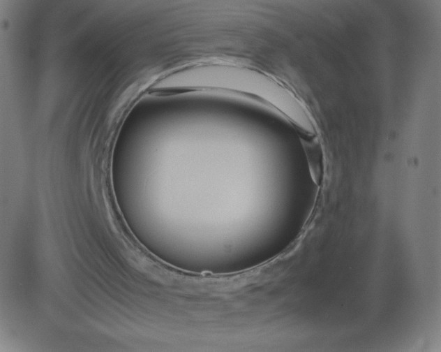 X0000082740001200702091915