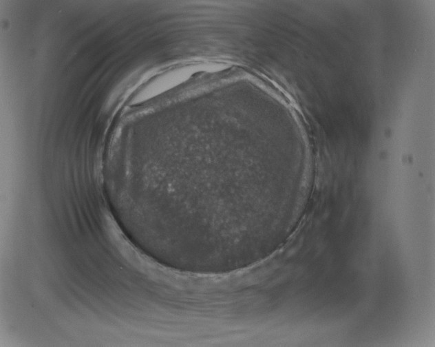 X0000082740002200702091915