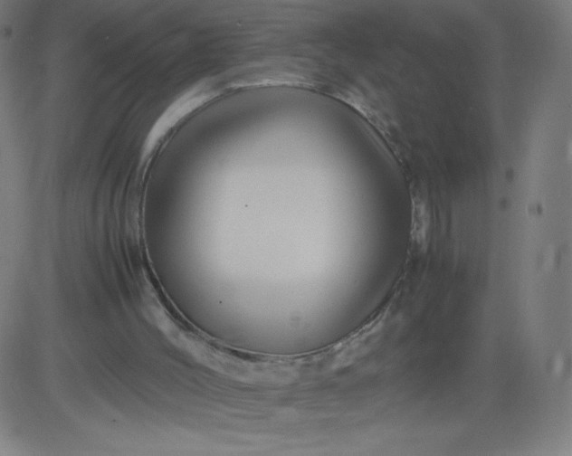 X0000082740004200702091915