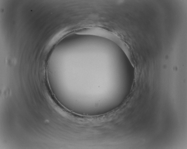 X0000082740005200702091915