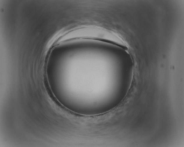 X0000082740007200702091915