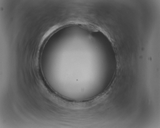 X0000082740008200702091915