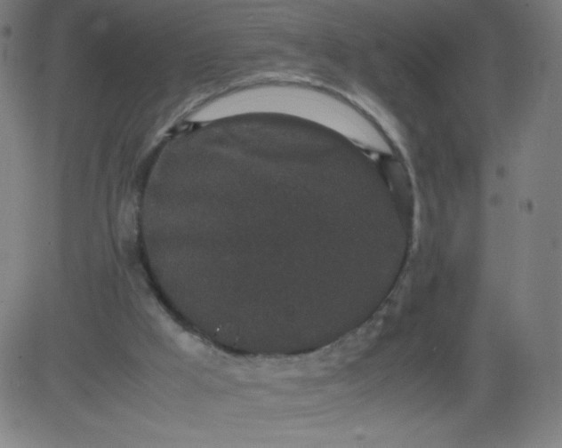 X0000082740009200702091915