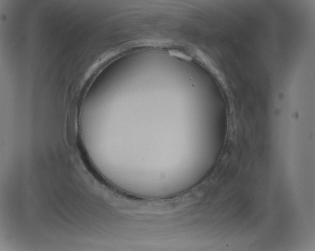 X0000082740011200702091915