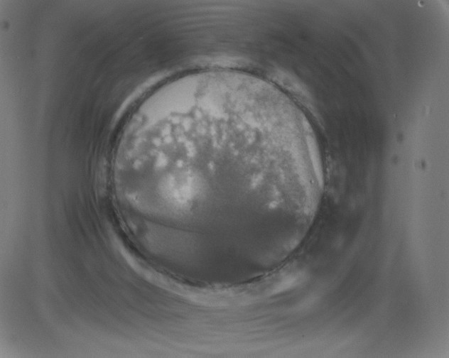 X0000082740012200702091915