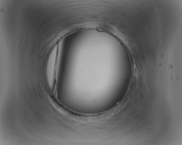 X0000082740013200702091915