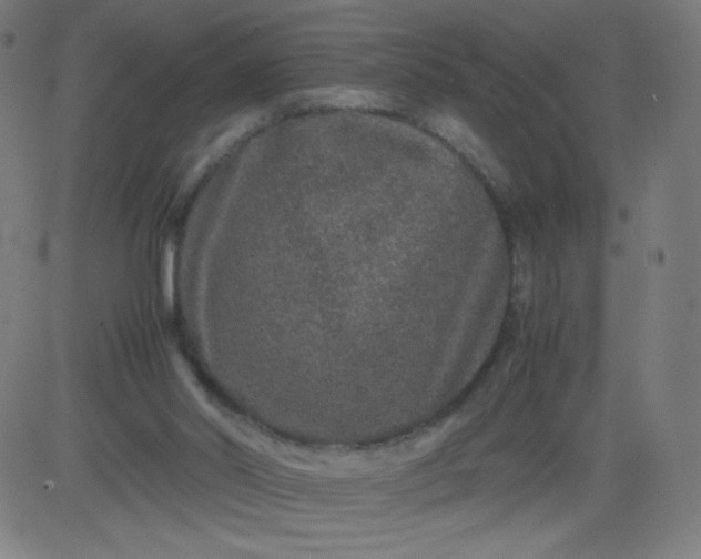 X0000082740014200702091915