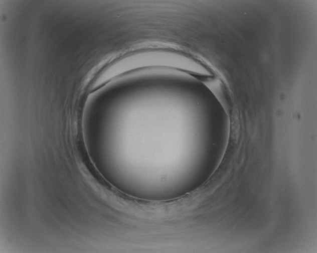 X0000082740015200702091915