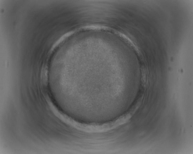 X0000082740016200702091915