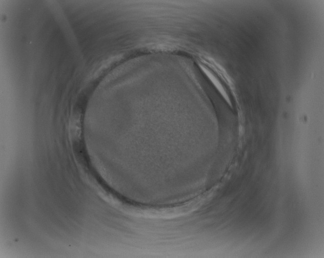 X0000082740017200702091915