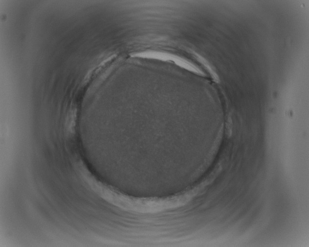 X0000082740018200702091915