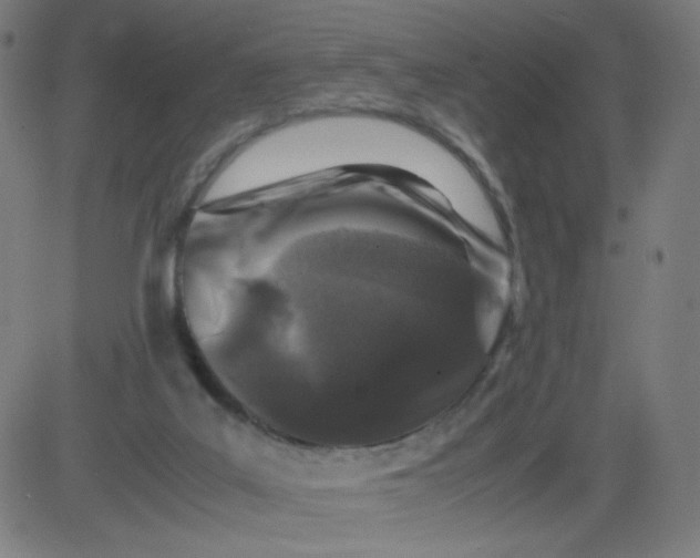 X0000082740019200702091915