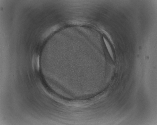 X0000082740020200702091914