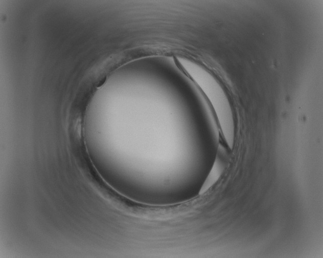 X0000082740021200702091914