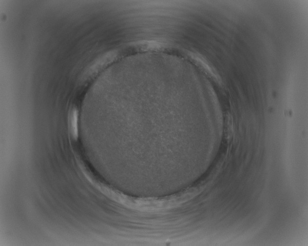 X0000082740022200702091914