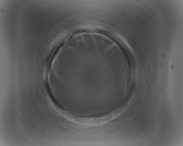 X0000082740023200702091914