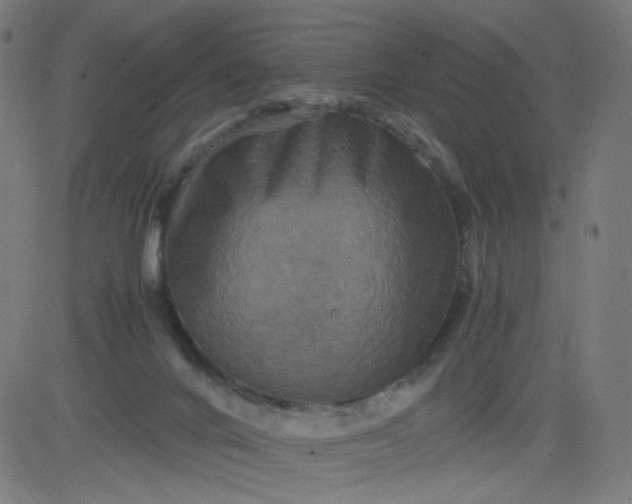 X0000082740024200702091914