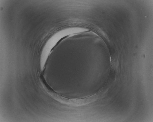 X0000082740027200702091914