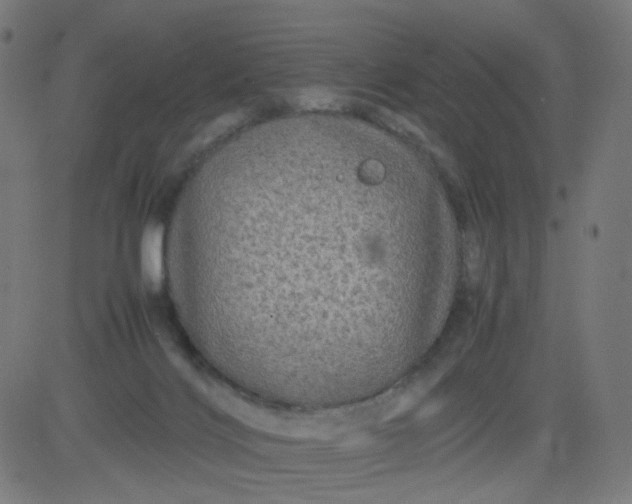 X0000082740028200702091914