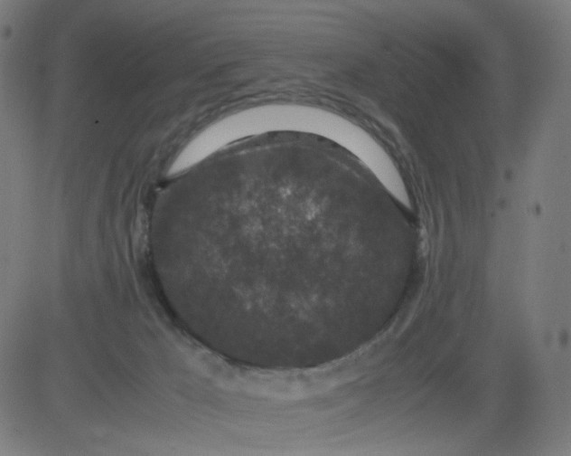 X0000082740029200702091914