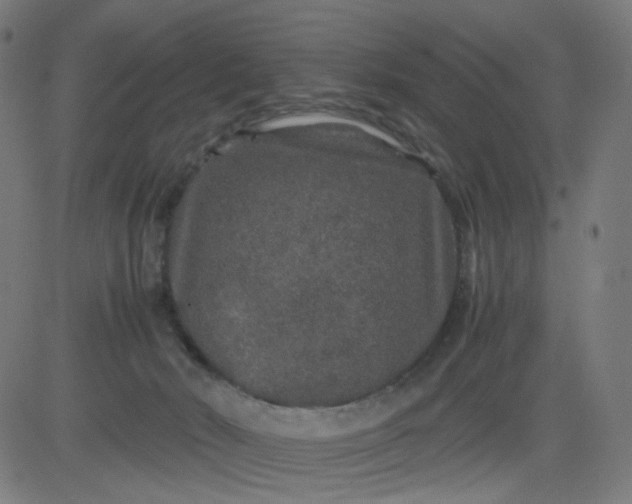 X0000082740030200702091914