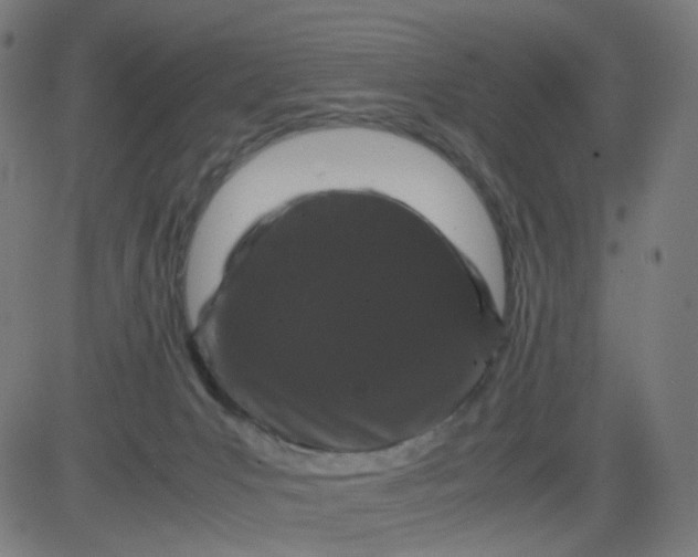 X0000082740031200702091914