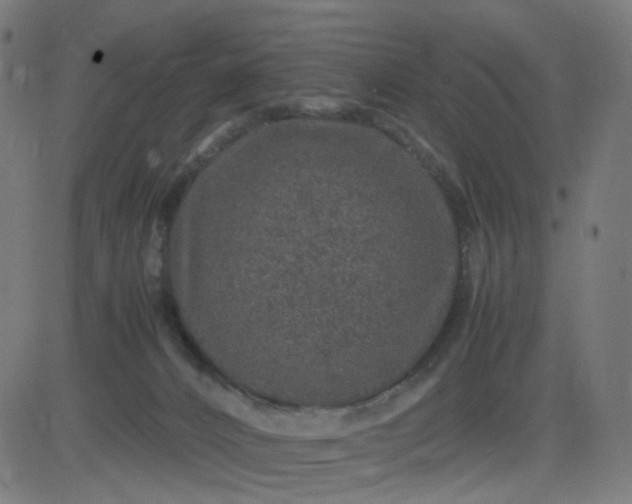 X0000082740032200702091914