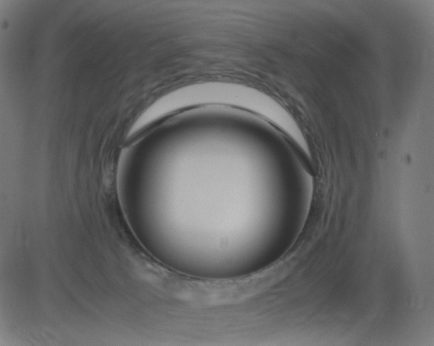 X0000082740033200702091914