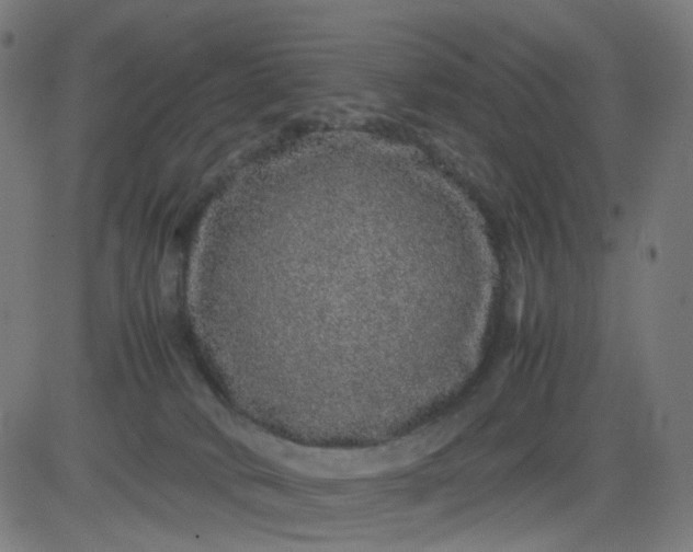 X0000082740034200702091914