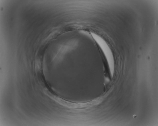 X0000082740035200702091914