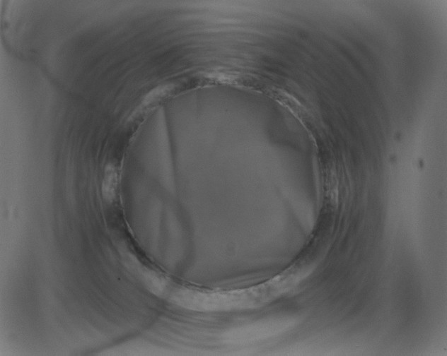 X0000082740036200702091914