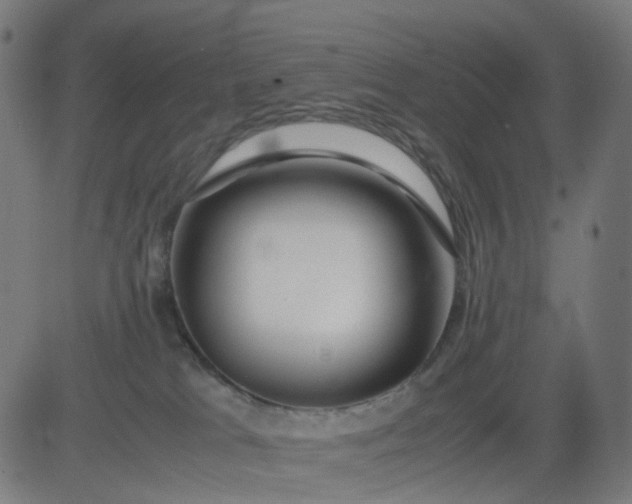 X0000082740037200702091914