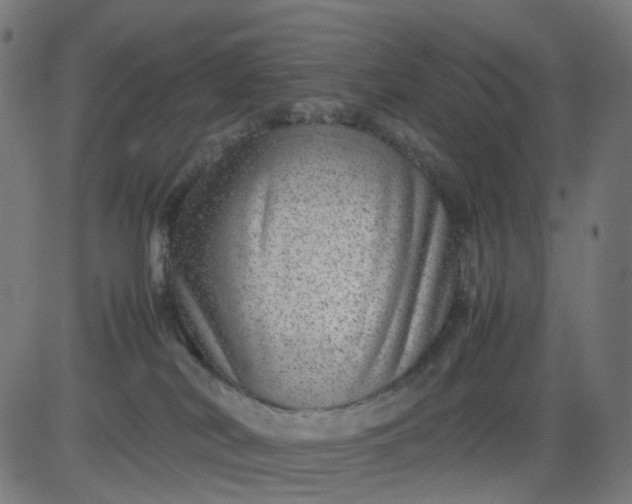 X0000082740038200702091914