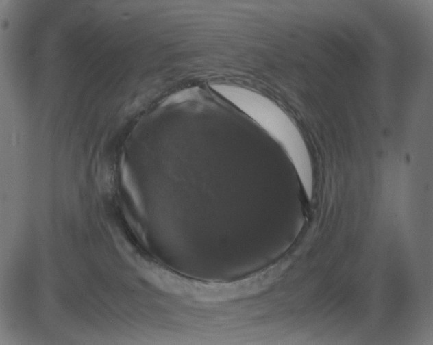 X0000082740039200702091914