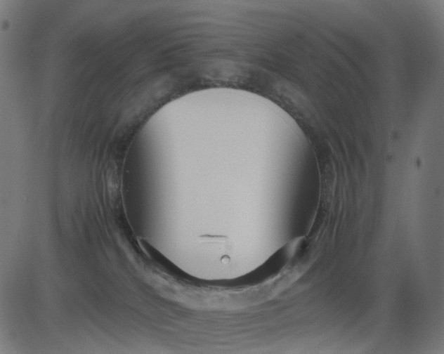 X0000082740040200702091914