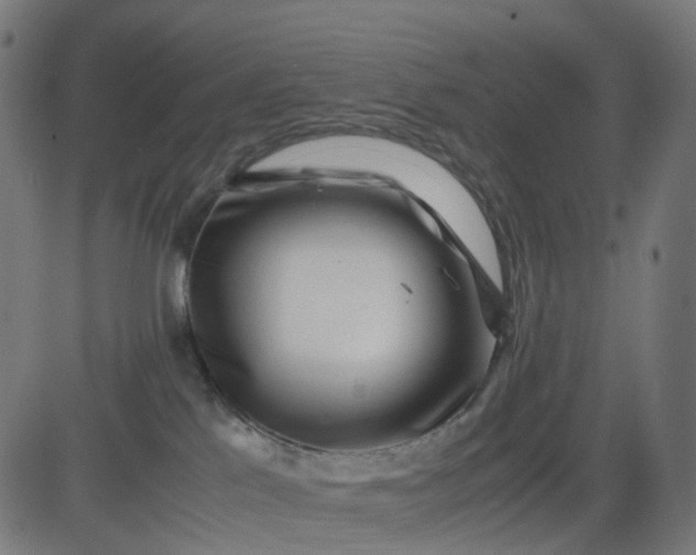 X0000082740041200702091914