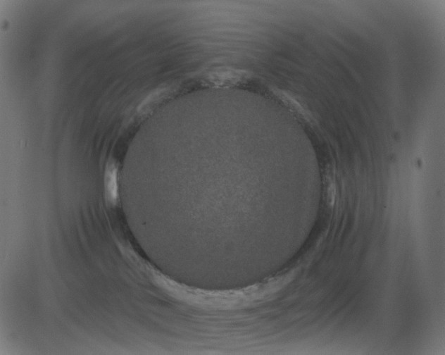 X0000082740042200702091914