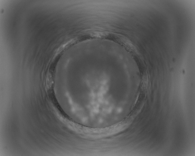 X0000082740043200702091914