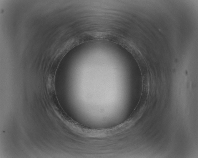 X0000082740044200702091914