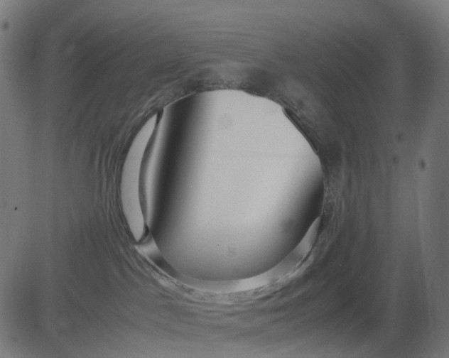 X0000082740045200702091914