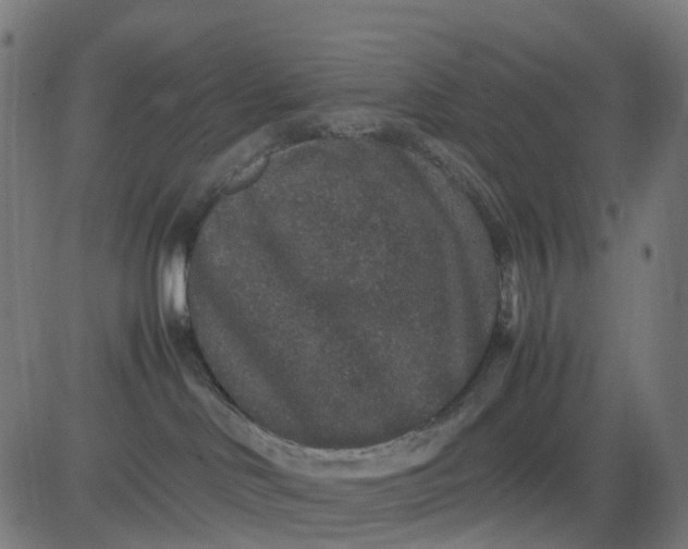 X0000082740046200702091914